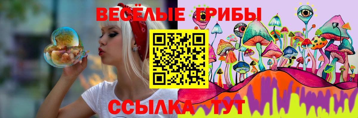 Псилоцибиновые грибы GOLDEN TEACHER Зеленодольск